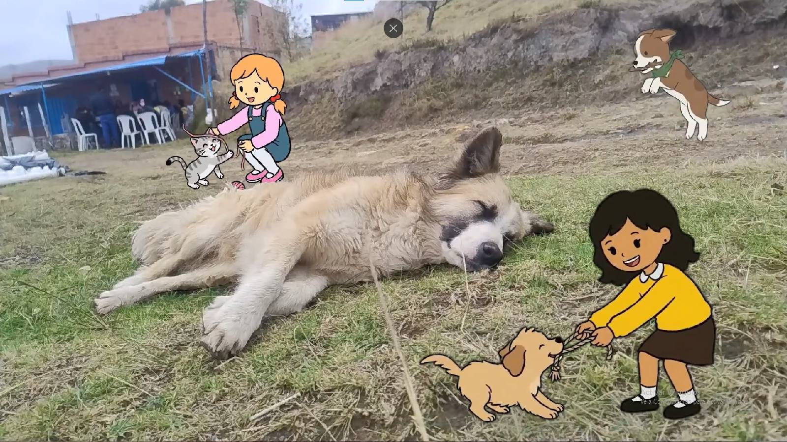 Las Crónicas Elefantiles: historias de la infancia